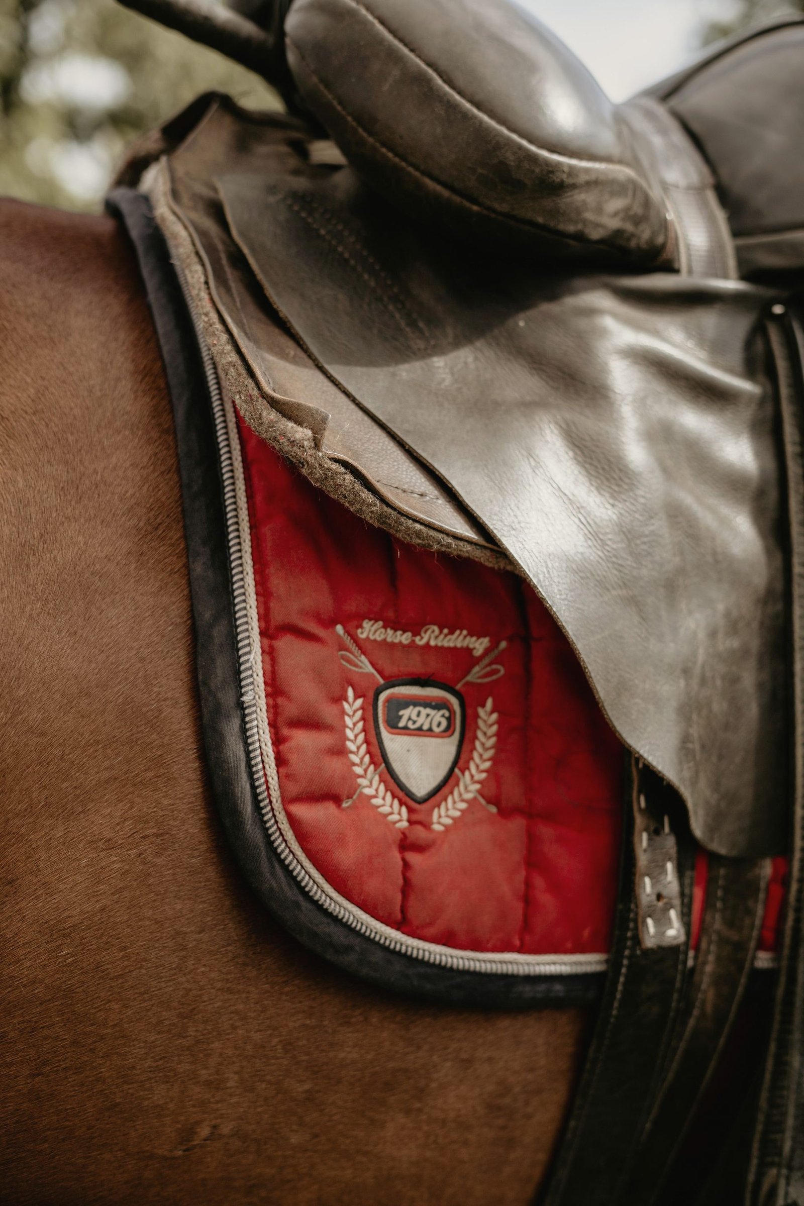 The seat and stirrup leathers of a well used western saddle.